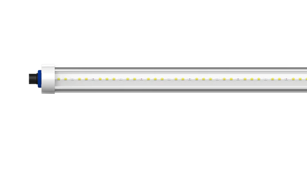 Grand Master LED Master Tarantula Reproduction Bar Clone Light (Pair)