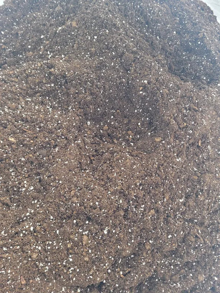 Dark Earth Living Soils Basic Living Soil 10 Gal Bag