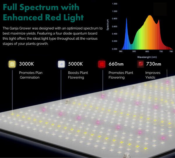 Gambit GG 240w Grow Light Set