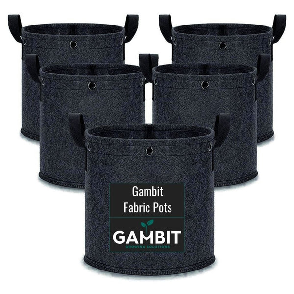 Gambit Growing 4x4x6.6 Bud Bunker Grow Kit