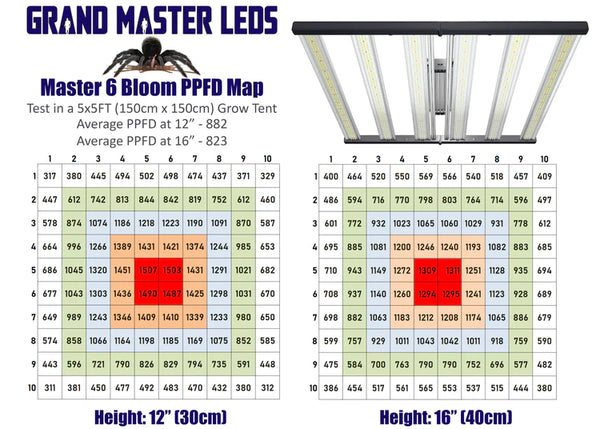 Grand Master LED Master 6 Bloom RED