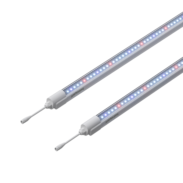 Rayonled TB-25 Clone Tubes (2 Pack)