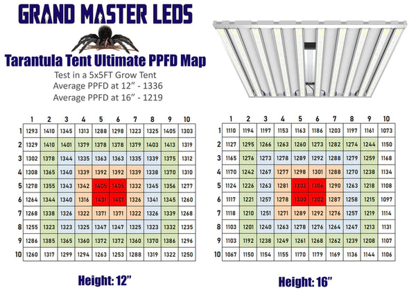 Grand Master LED Tarantula Tent Ultimate