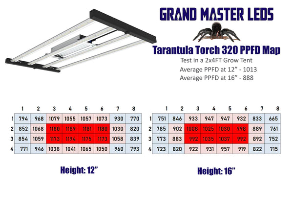 Grand Master LED Tarantula Torch 320