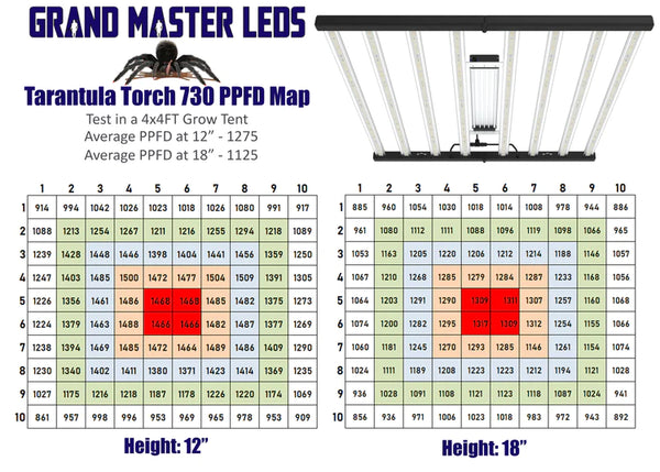 Grand Master LED Tarantula Torch 730