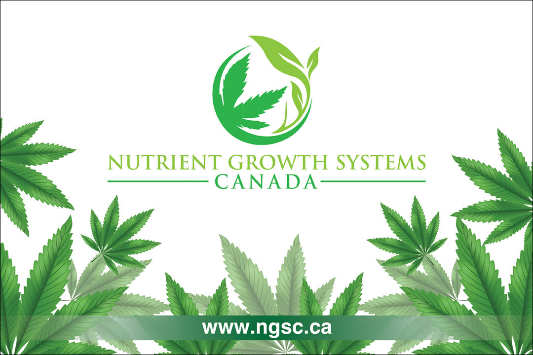 NGSC 3X2 Banner Nutrient Growth Systems Canada ngsc-3x2-banner-nutrient-growth-systems-canada