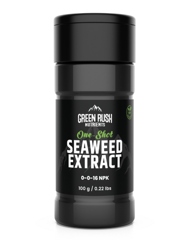 Green Rush Nutrients 100% Organic Soluble Seaweed Extract Derived from Premium Cold Pressed Atlantic Kelp (100g)