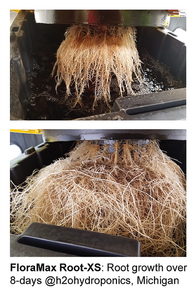 FloraMax Root XS | Nutrient Growth Systems Canada