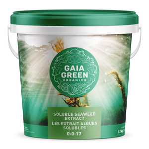 Gaia Green Soluble Seaweed Extract | Nutrient Growth Systems Canada