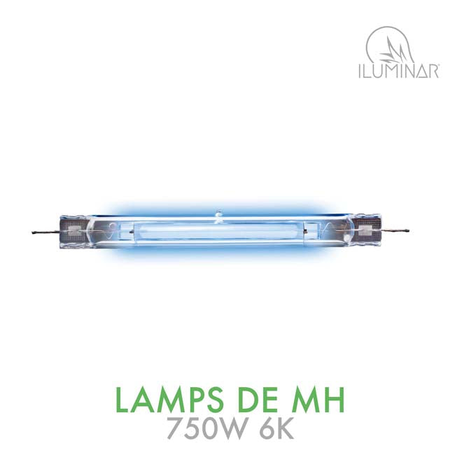 Iluminar MH DE Lamp 750W 6K