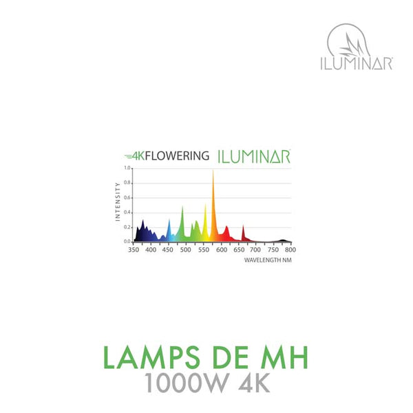 Iluminar MH DE Lamp 1000W 4K
